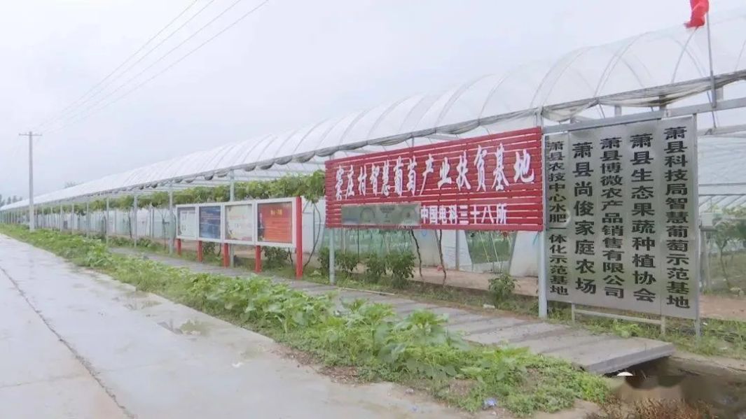 &#20048;&#40060;&#32593;&#39029;&#29256;&#45;&#20048;&#40060;&#40;&#20013;&#22269;&#41;&#23448;&#26041;
