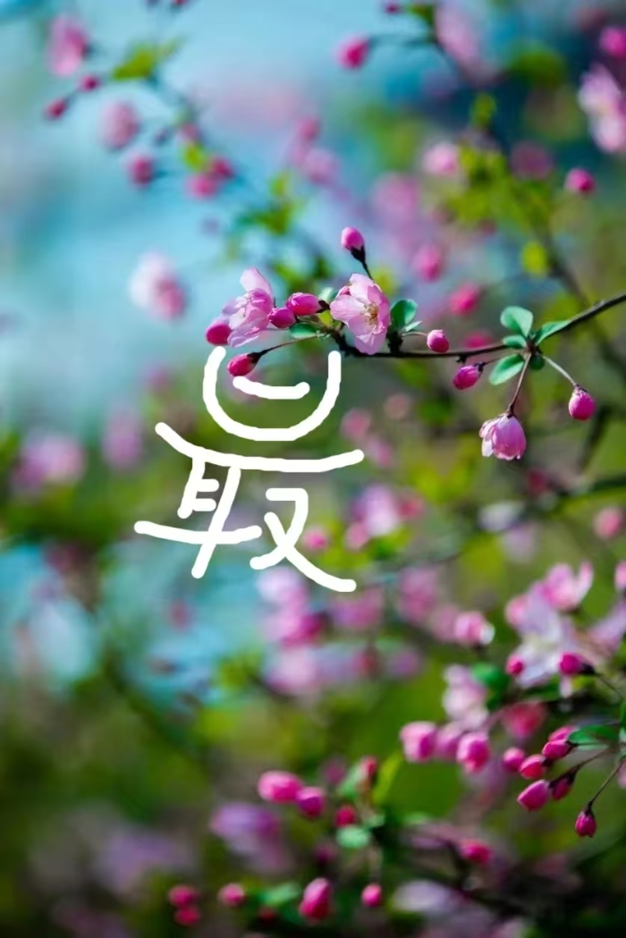 &#20048;&#40060;&#32593;&#39029;&#29256;&#45;&#20048;&#40060;&#40;&#20013;&#22269;&#41;&#23448;&#26041;