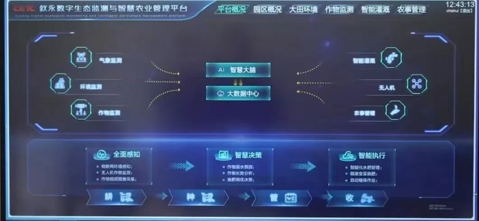 &#20048;&#40060;&#32593;&#39029;&#29256;&#45;&#20048;&#40060;&#40;&#20013;&#22269;&#41;&#23448;&#26041;