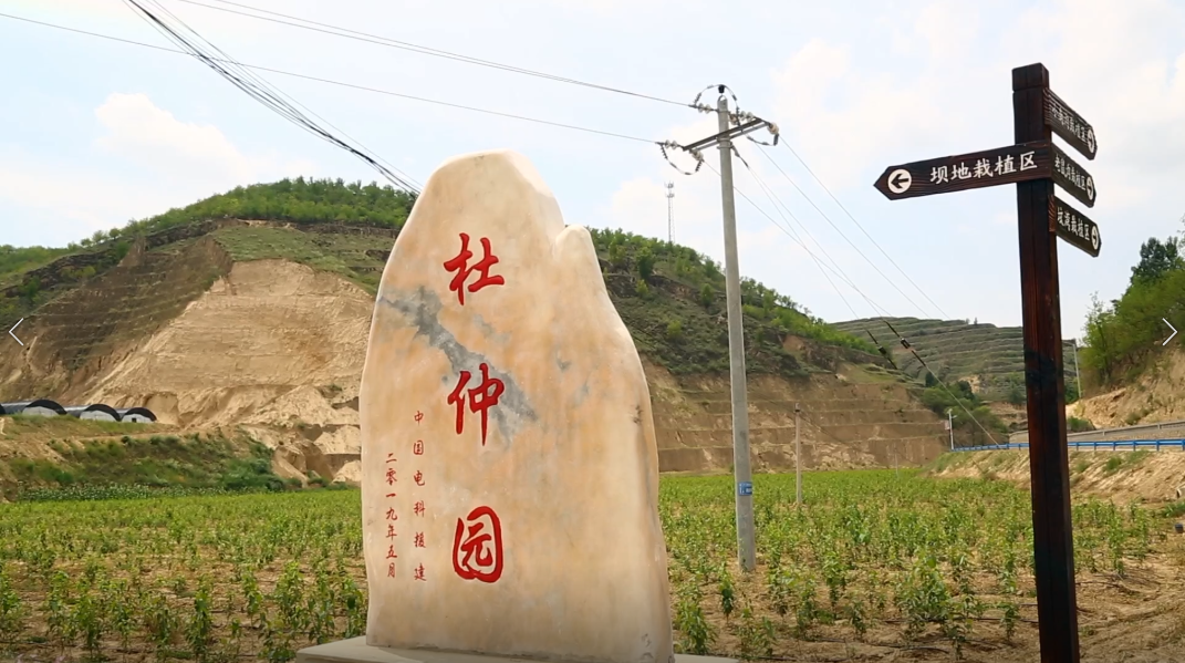 &#20048;&#40060;&#32593;&#39029;&#29256;&#45;&#20048;&#40060;&#40;&#20013;&#22269;&#41;&#23448;&#26041;
